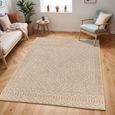 Tuareg Rug - Global Jute - TRG2354 - Brown - Sizes Available