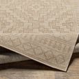Tuareg Rug - Jute - TRG2351 - Brown - Sizes Available