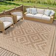 Tuareg Rug - Jute - TRG2351 - Brown - Sizes Available