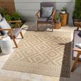 Tuareg Rug - Jute - TRG2351 - Brown - Sizes Available
