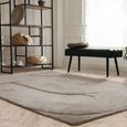 Clearance - Contemporary Design Tova Rug - Moleskin - 200cm x 290cm - FSS17349