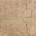 Bhawan Carpet - Brown - Fabric - 200cm x 300cm