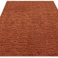 Casa Terracotta Rug - Sizes Available thumbnail 4