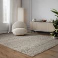 Adler Silver Rug - Sizes Available thumbnail 2