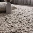 Adler Silver Rug - Sizes Available thumbnail 3
