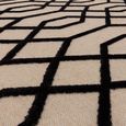 Global Black Diamond Rug - Sizes Available thumbnail 5
