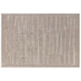 Valley Beige Natural Path Rug - Sizes Available thumbnail
