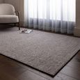 Zander Charcoal Rug - Sizes Available thumbnail 2