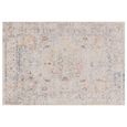 Flores Laleh Multi Colour FR08 Rug - 66cm x 240cm thumbnail