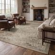 Sovereign Beige Natural Medallion Rug - Sizes Available thumbnail 2
