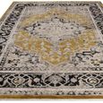Sovereign Yellow Gold Medallion Rug - Sizes Available thumbnail 4