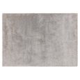 Atlas Grey Silver Rug - Sizes Available thumbnail