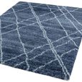 Alto Blue and Cream AL01 Rug - Sizes Available thumbnail 3