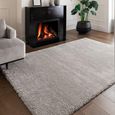 Atlas Grey Silver Rug - Sizes Available thumbnail 2