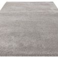 Atlas Grey Silver Rug - Sizes Available thumbnail 3