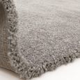 Atlas Grey Silver Rug - Sizes Available thumbnail 5