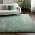 Atlas Sage Green Rug - Sizes Available thumbnail 2