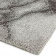 Dream Monochrome Cream Grey DM03 Rug - 200cm x 230cm thumbnail 4