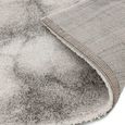 Dream Monochrome Cream Grey DM03 Rug - 200cm x 230cm thumbnail 5