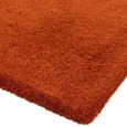 Lulu Spice Orange Rug - Sizes Available thumbnail 4
