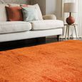 Payton Orange Rug - Sizes Available thumbnail 2