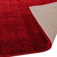 Payton Red Rug - Sizes Available thumbnail 5