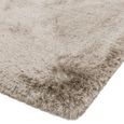 Plush Beige Natural Rug - Sizes Available thumbnail 4