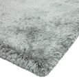 Plush Grey Silver Rug - Sizes Available thumbnail 4