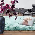 Plush Ocean Green Rug - Sizes Available thumbnail 2