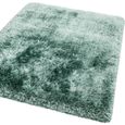 Plush Ocean Green Rug - Sizes Available thumbnail 3