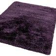 Plush Purple Rug - Sizes Available thumbnail 3