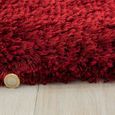 Plush Red Rug - Sizes Available thumbnail 2