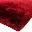 Plush Red Rug - Sizes Available thumbnail 4