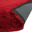 Plush Red Rug - Sizes Available thumbnail 5