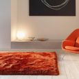 Plush Rust Orange Rug - Sizes Available thumbnail 2