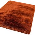 Plush Rust Orange Rug - Sizes Available thumbnail 3