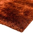 Plush Rust Orange Rug - Sizes Available thumbnail 4