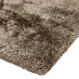 Plush Taupe Rug - Sizes Available thumbnail 4