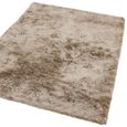 Whisper Mocha Beige Natural Rug - Sizes Available thumbnail 2