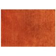 Rust Orange
