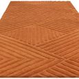 Hague Desert Natural Rug - Sizes Available thumbnail 3