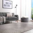 Hague Grey Silver Rug - Sizes Available thumbnail 2