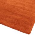 Milo Rust Orange Rug - Sizes Available thumbnail 4