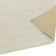 Reko Putty Beige Natural Rug - 200cm x 300cm thumbnail 5