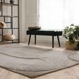 Tova Moleskin Beige Natural Rug - Sizes Available thumbnail 2