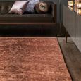 Zehraya Rust Brown ZE05 Rug - 160cm x 230cm thumbnail 2