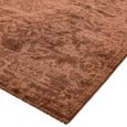 Zehraya Rust Brown ZE05 Rug - 160cm x 230cm thumbnail 4