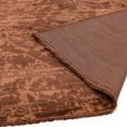 Zehraya Rust Brown ZE05 Rug - 160cm x 230cm thumbnail 5