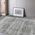 Nova Antique Grey NV10 Rug - 240cm x 340cm thumbnail 2