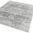 Nova Antique Grey NV10 Rug - 240cm x 340cm thumbnail 3